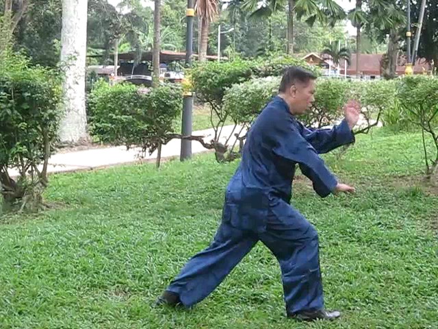 Wu Yu Xiang Style Taijiquan